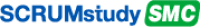 Scrum Master Certified Course-4 Evenings